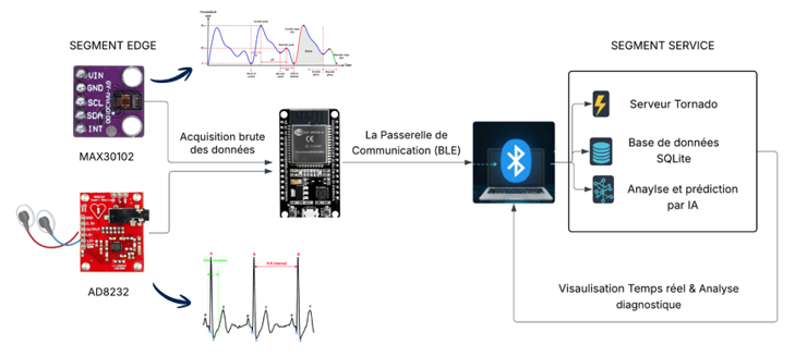 Illustration chaîne